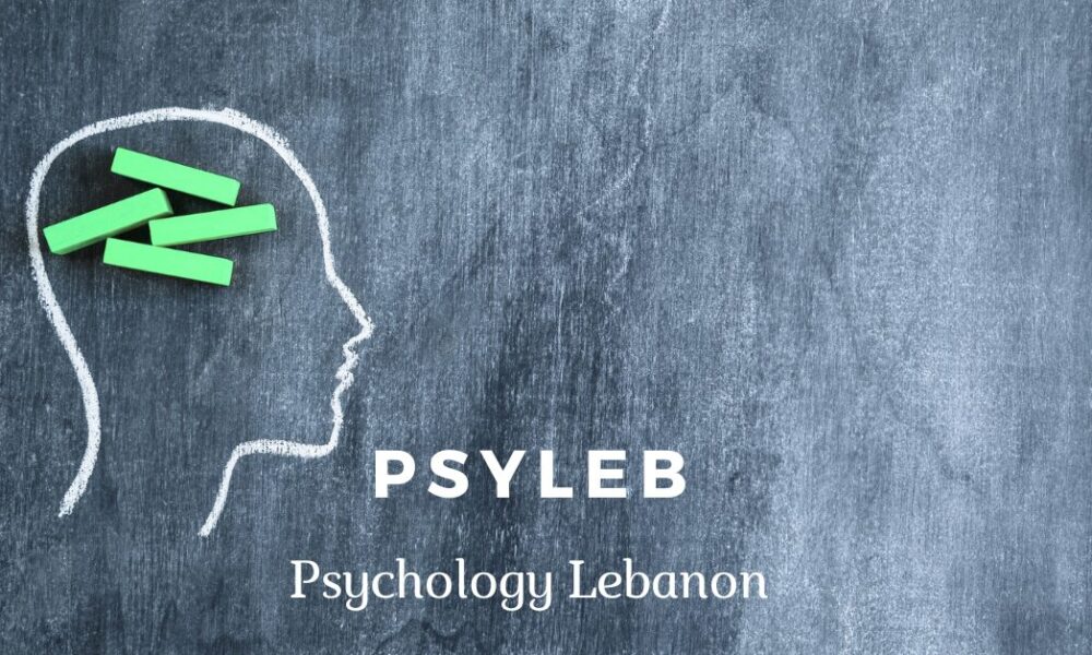 psyleb.com-launches-to-improve-access-to-mental-health-support-in-lebanon